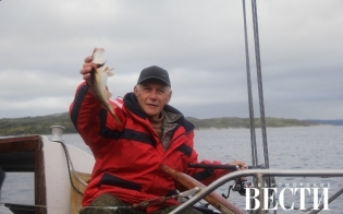 ���������� ������������ 