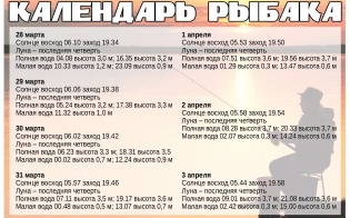 ��������� ������