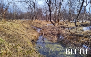 ������� ������ �� 29 ������