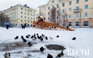 ������� ������ �� 2 ������