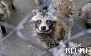 ��������� ����������� ��������