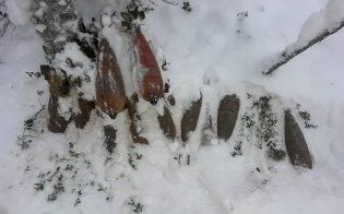 �������� ��������