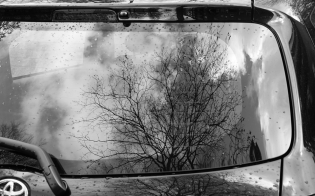 ������������ �� ������ ��������������� ���������