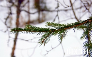 ������� ��������� ���������� ����