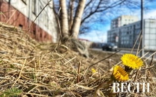 ������� ������ �� 25 ������