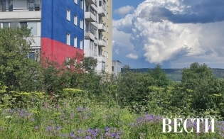 ������� ������ �� 18 ����