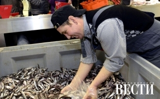 �� ���� - �� ��������