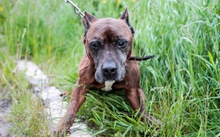 ���������� ����!