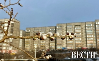 ������� ������ ��  7 ������