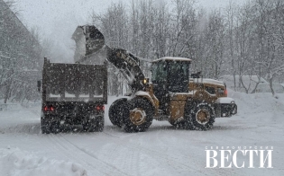 � ������ ������ ������