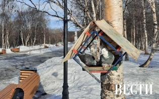 ������� ������ �� 23 �����