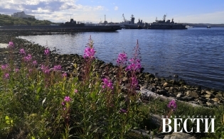 ������� ������ �� 28 ����