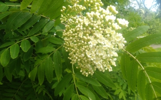 ������� ������ �� 1 ����