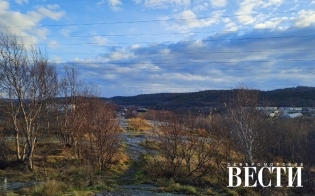 ������� ������ �� 20 �������