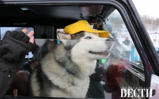 ���� ������������ ��������