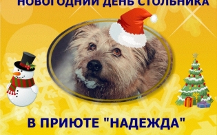 �������� ��� ��������� ��������