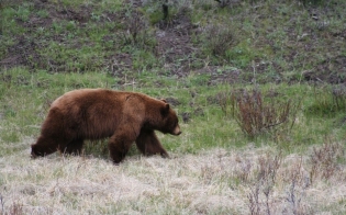 �� ��������� �������. ���� ��������?