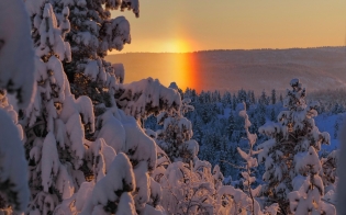 ������� ������ �� 10 �������