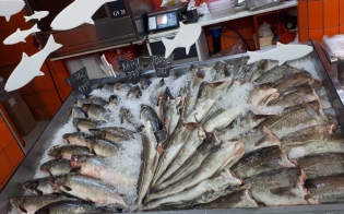 ������� �������