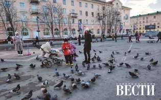 ������� ������ �� 22 ������