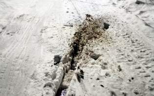 ����������...