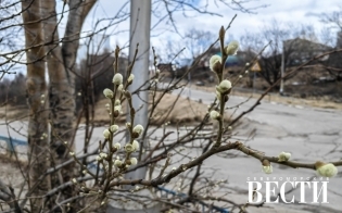 ������� ������ �� 3 ���