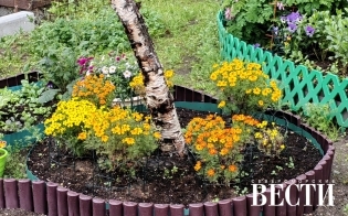 ������� ������ �� 25 ����