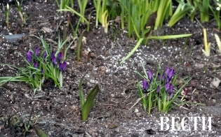 � ������ �����!