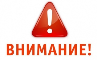 ������ ���������