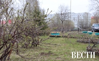 ������� ������ �� 31 ���