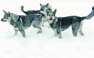 ���������� ����� ������������ �� ������ �� ����� �������� ��� ����������