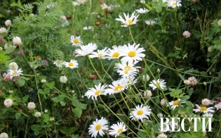 ������� ������ �� 12 ��������