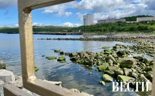 ������� ������ �� 11 �������