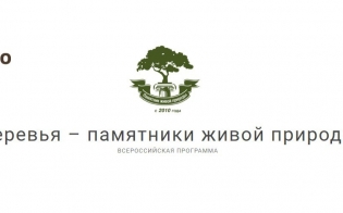 ���������� ������ ���� � 2023