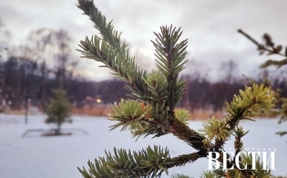 ������� ������ �� 21 ������