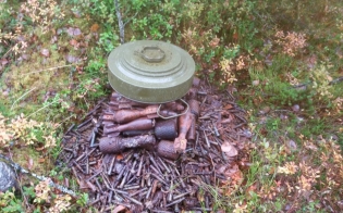 ������ � �����������