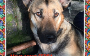 �������� � ������ �����