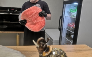 ����� ����������� ��� ��������