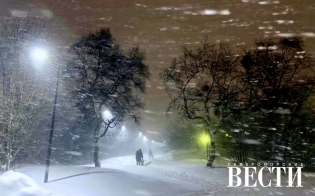 ������� ������ �� 7 �������