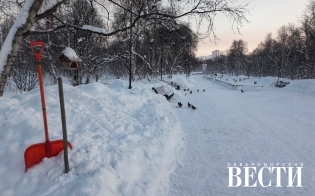 ������� ������ �� 18 �������