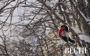 ����� ����������������� ������� �� �������