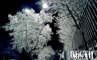 ������ � ������