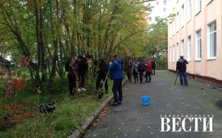 ����� - ������