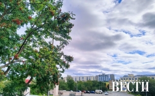 ������� ������ �� 13 �������