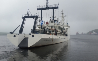 "��������" ���������� � �������