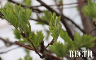 ������� ������ �� 28 ���