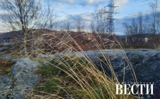 ������� ������ �� 27 �������