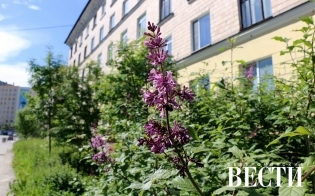 ��������� ������