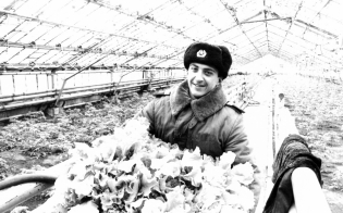 "�����" ��������������� 