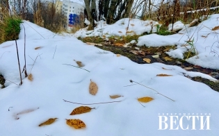 ������� ������ �� 6 ������